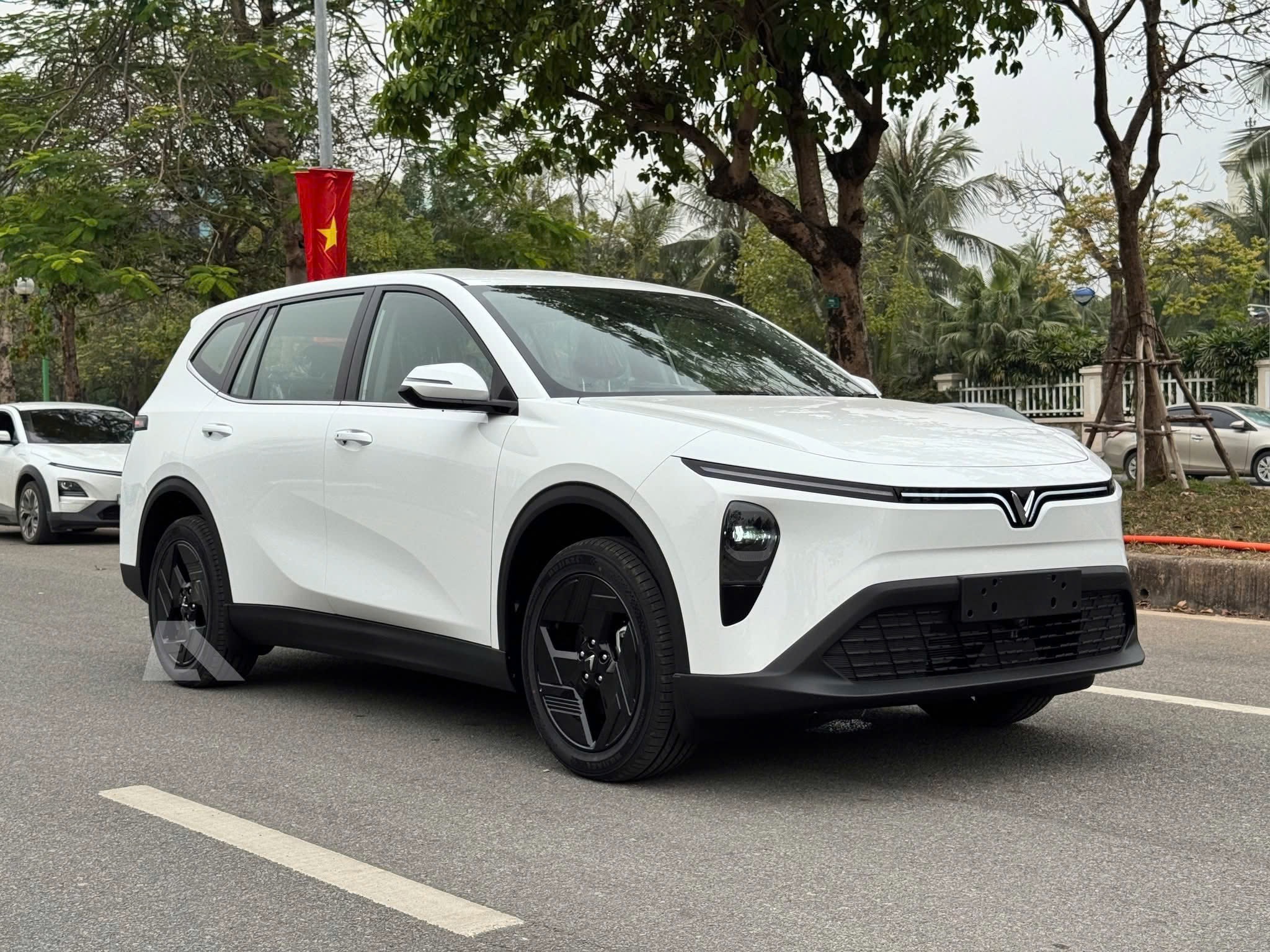 MPV7-trang
